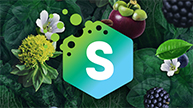 SPECTRA™ - 29 fruits, plants and veggies
